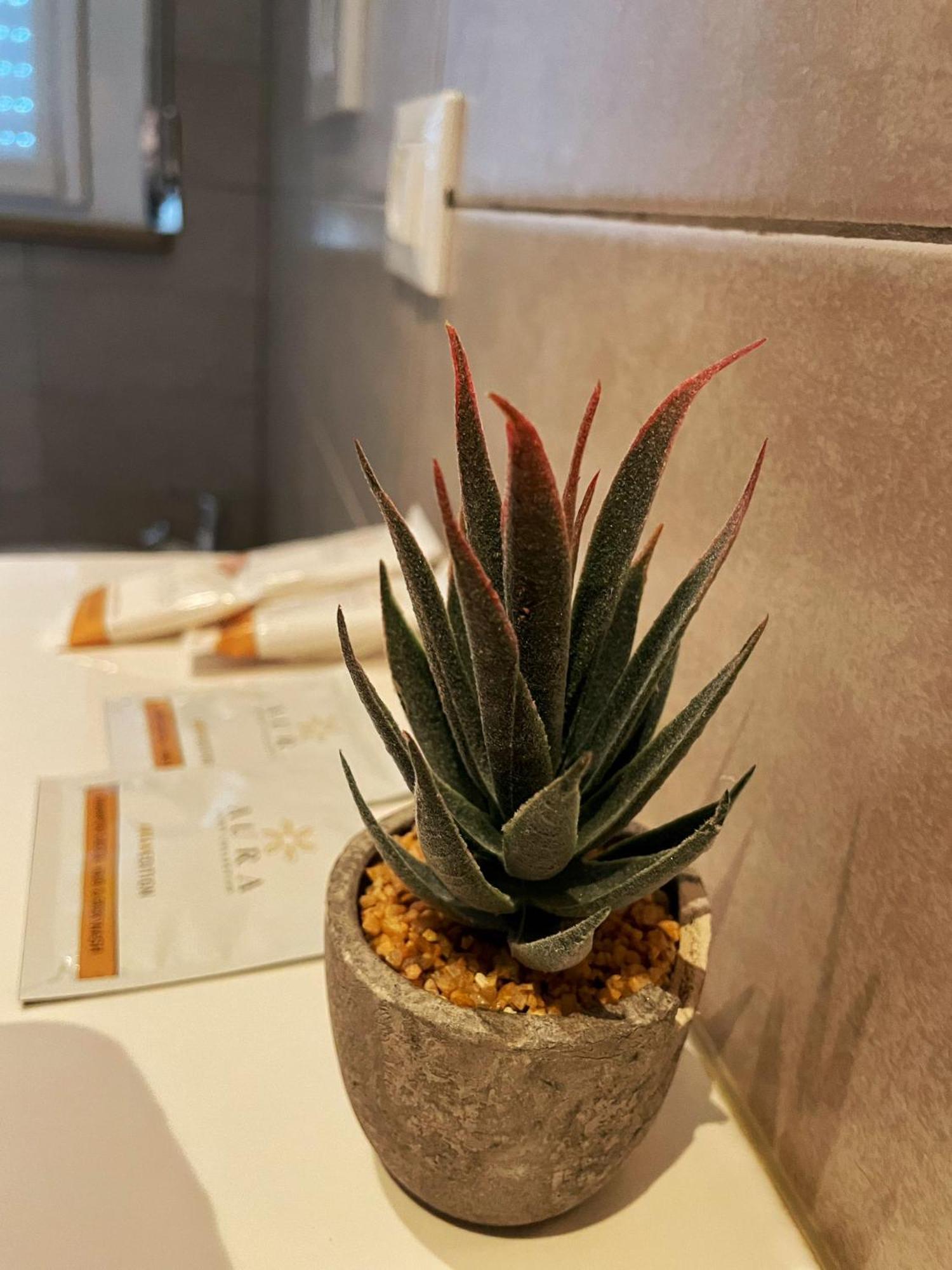 Alla Scaletta - Stanze Con Bagno Privato E Wifi A Pochi Passi Dal Duomo Mirandola Eksteriør billede